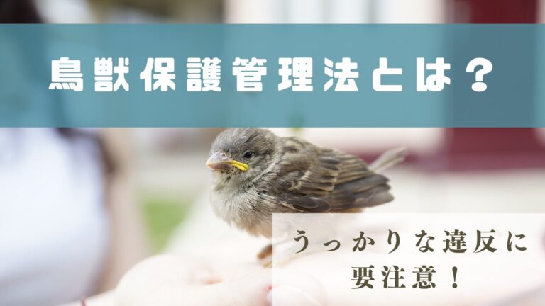 鳥獣保護管理法とは？自然と共生するための重要な法律を解説 Banzokuの鳥and旅ブログ 