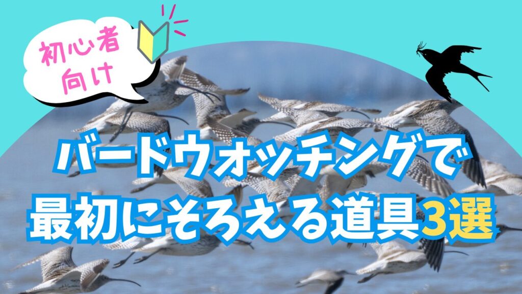 狩野探幽 海棠に尾長鳥 四季富士 2本 絹本 共箱 合箱 尾長鳥 富士 狩野探幽 海棠に尾長鳥 四季富士 2本 絹本 共箱 合箱 尾長鳥 富士