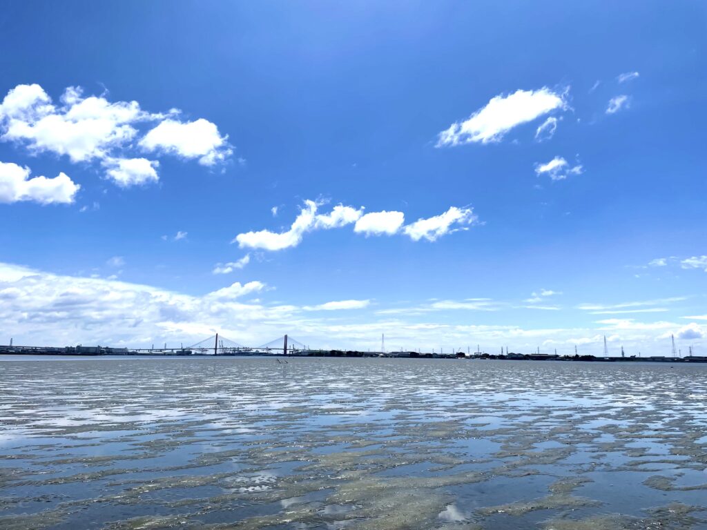 藤前干潟