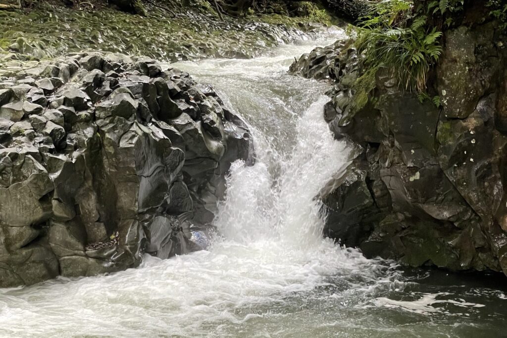 河津七滝 カニ滝