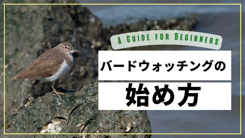 9b6610bf833dc7290be19eb30f38c6