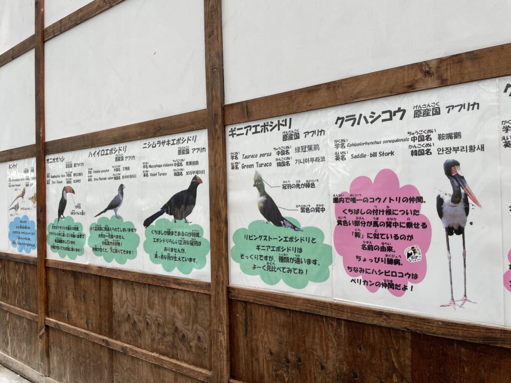 掛川花鳥園の展示
