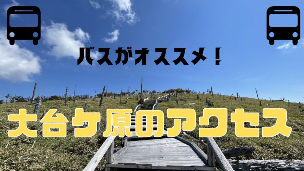 アクセス】ハイシーズンの大台ヶ原はバスがオススメ!! | Banzokuの鳥