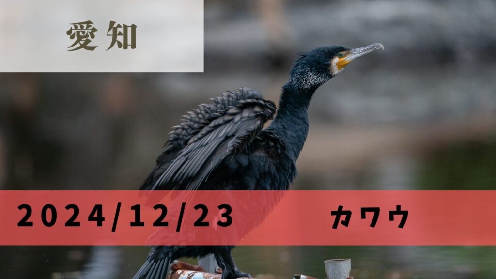 サムネ
