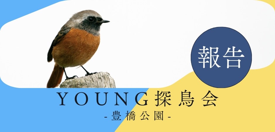 ヤング探鳥会のバナー