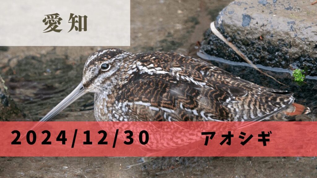 サムネ