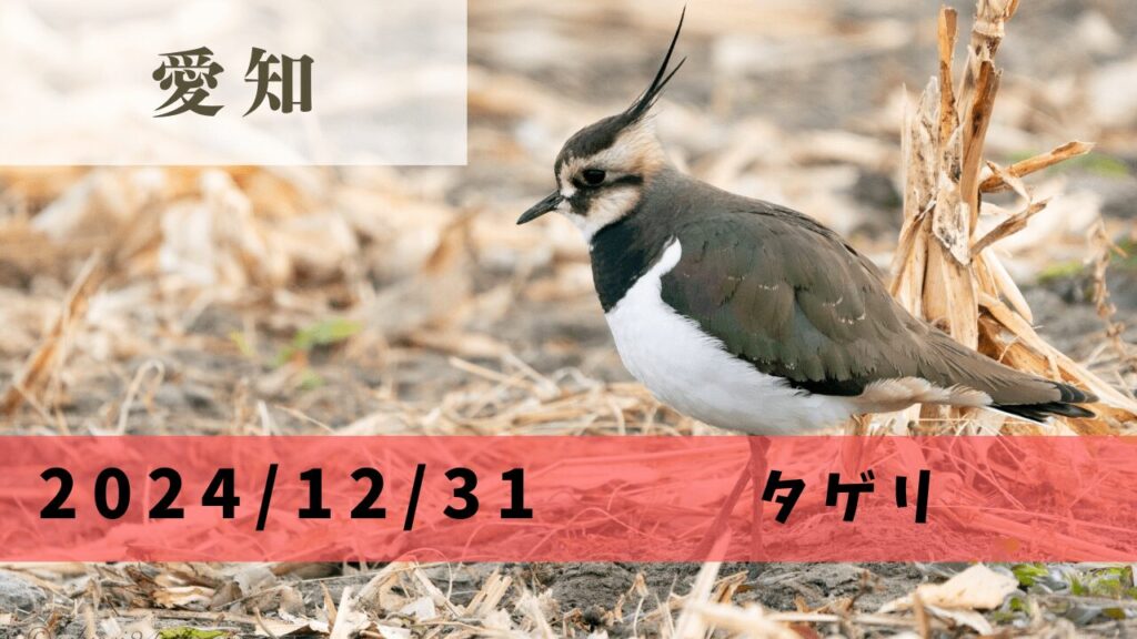 サムネ