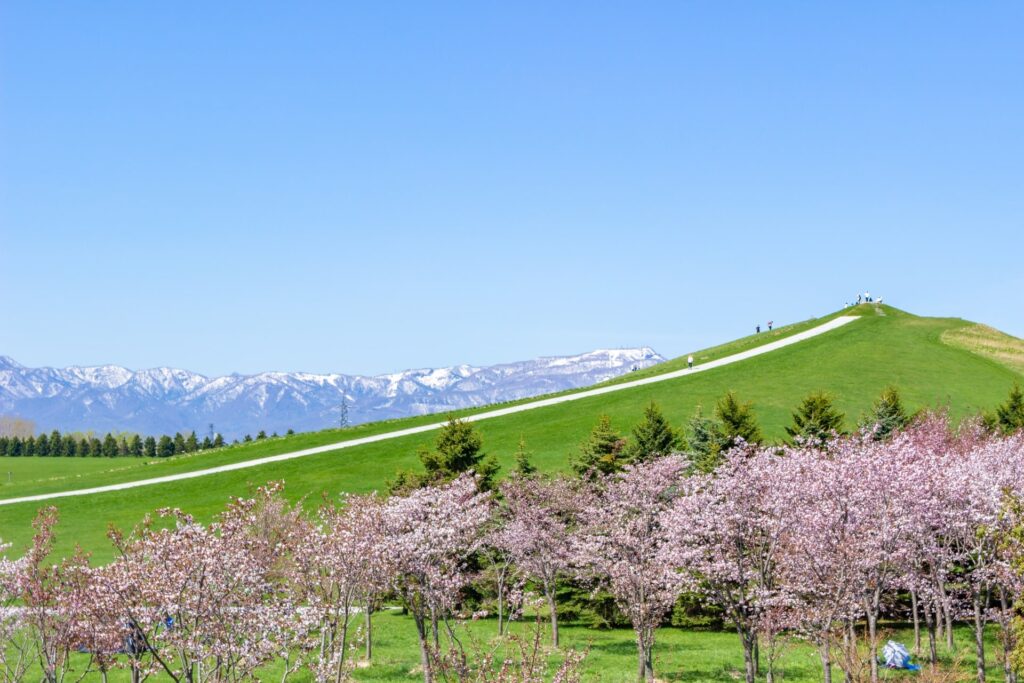 モエレ沼公園