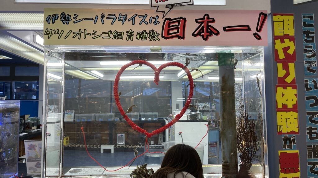 伊勢夫婦岩めおと横丁