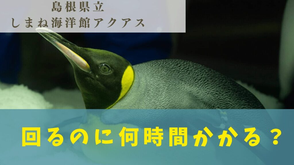 サムネ