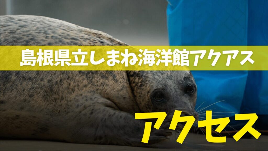 サムネ