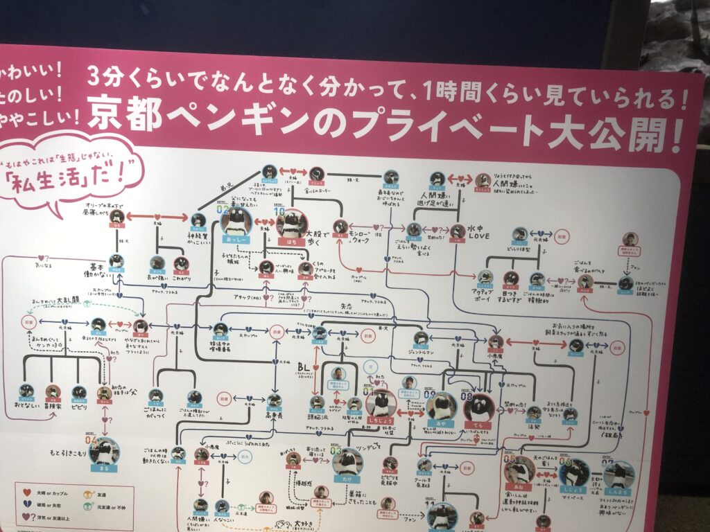 京都ペンギンの展示