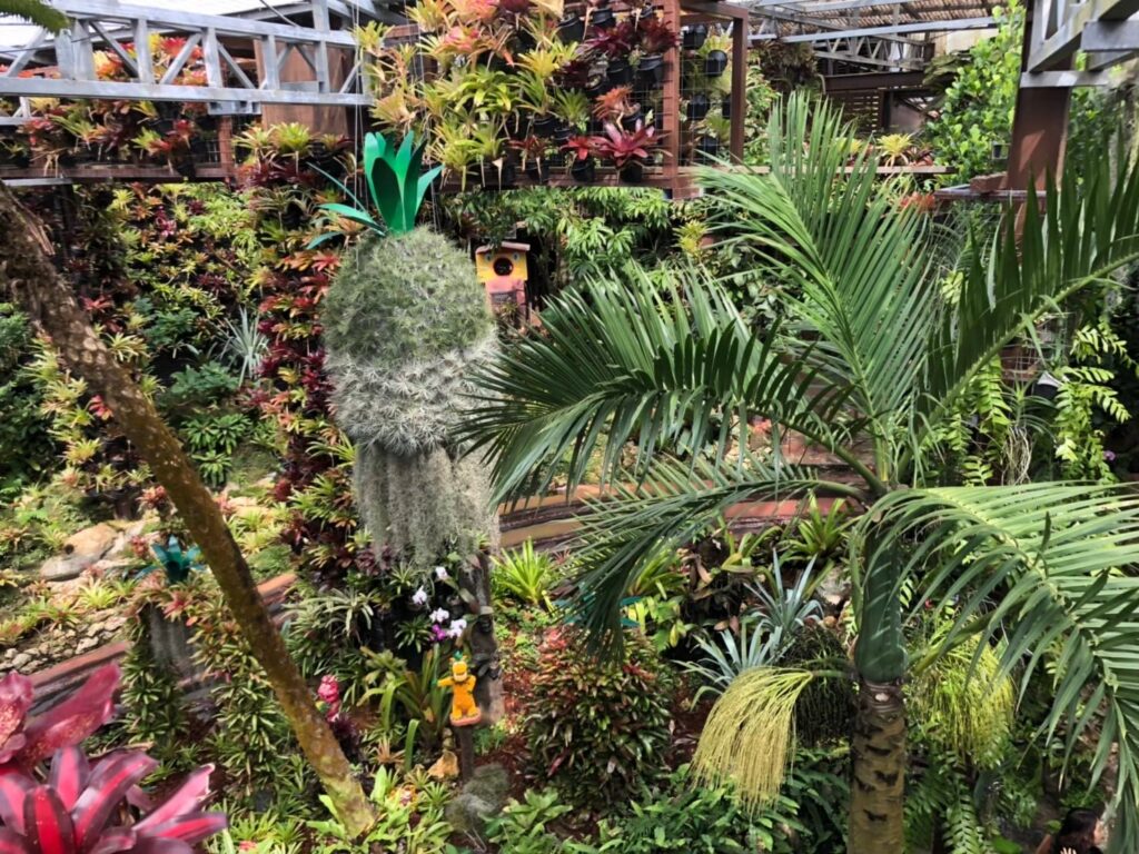 ナゴパイナップルパークの熱帯園