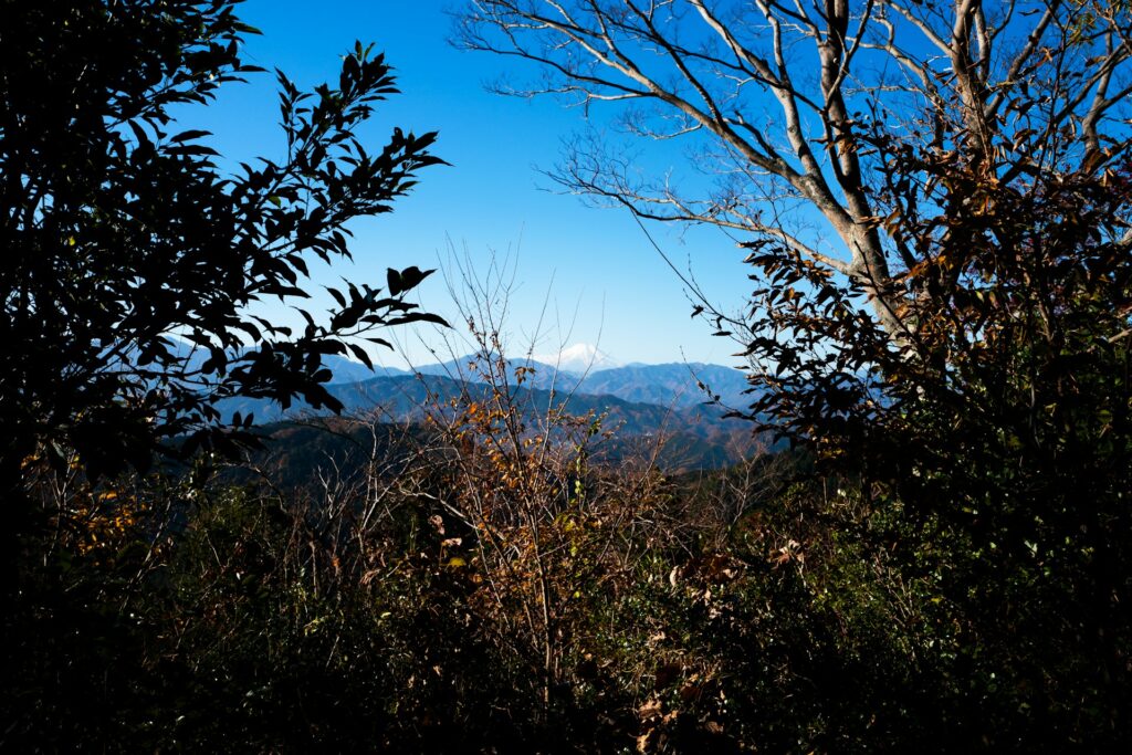 高尾山