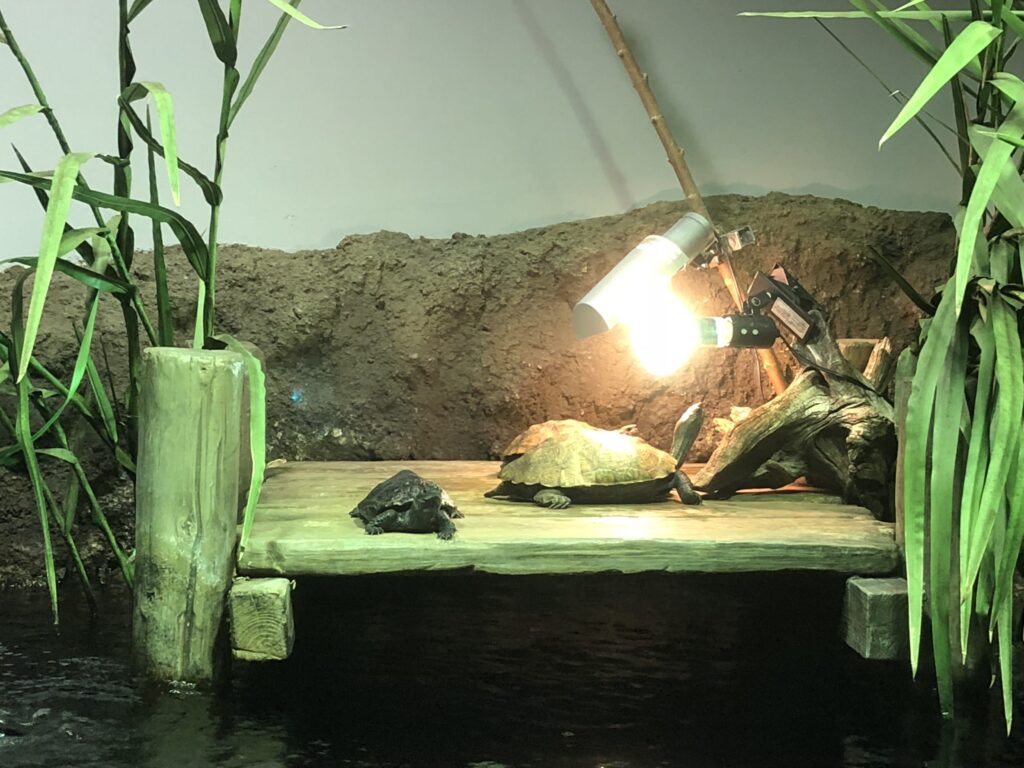 富士湧水の里水族館