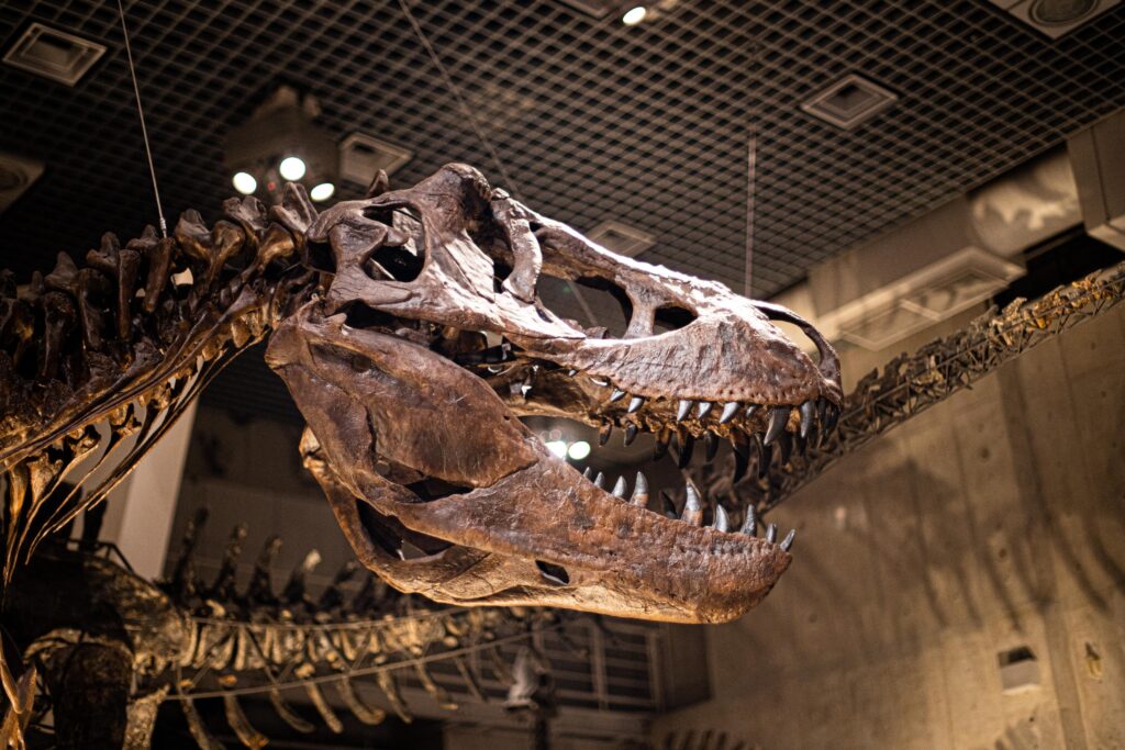 国立科学博物館 ティラノサウルス
