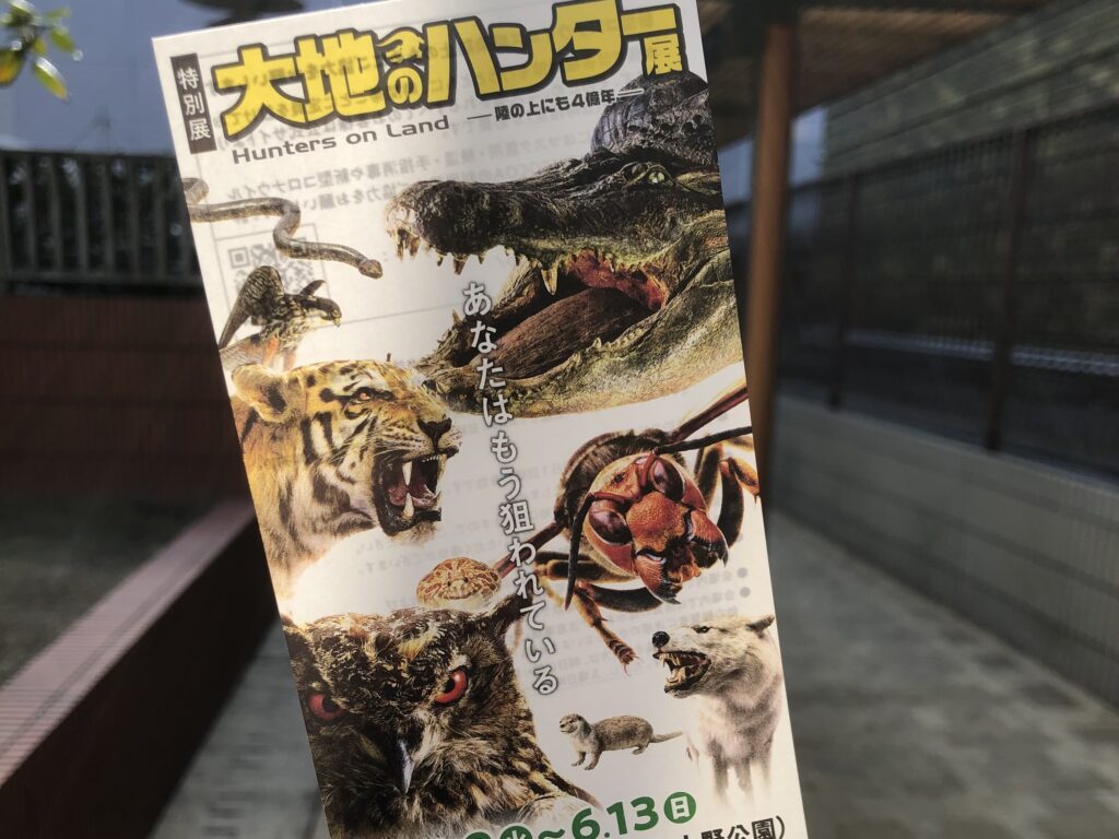 国立科学博物館 特別展 チケット