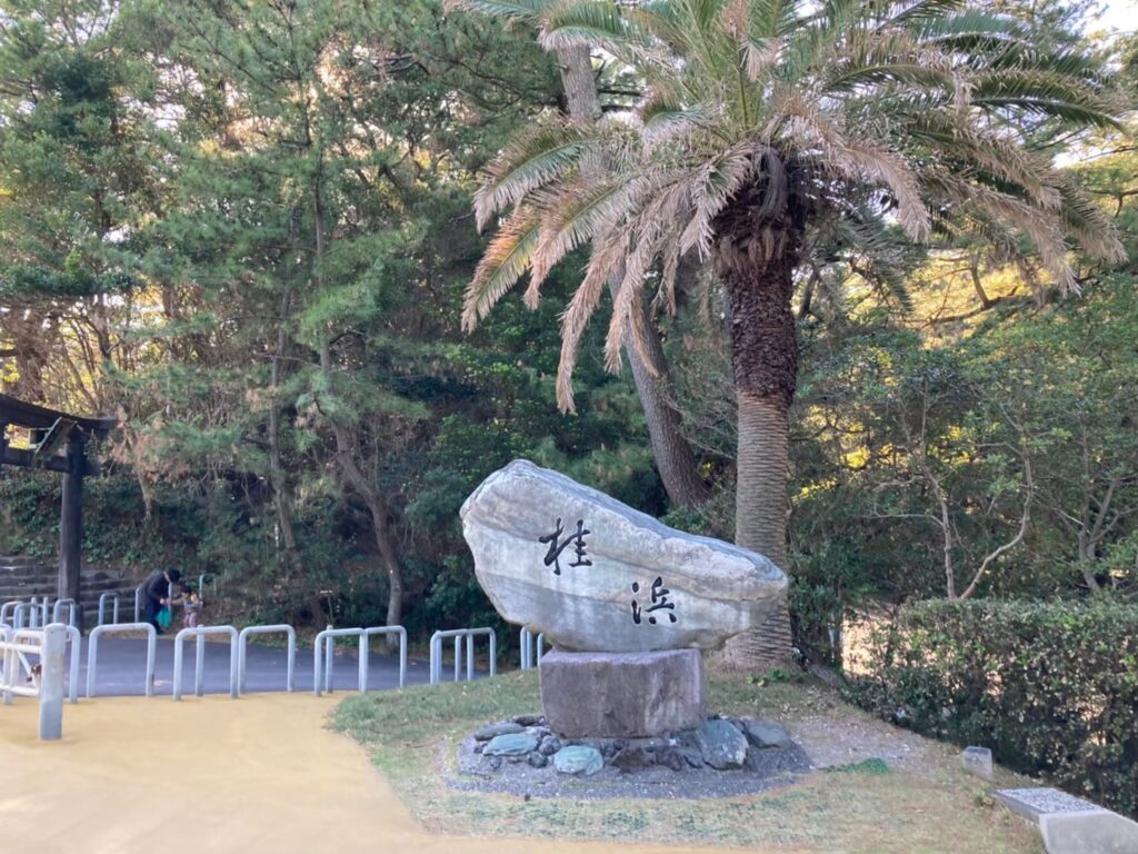 桂浜