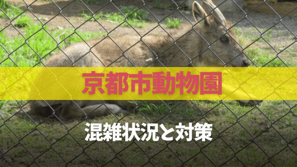 サムネ