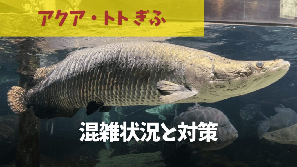 サムネ