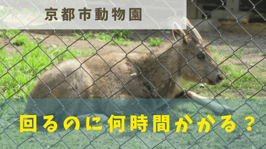 サムネ