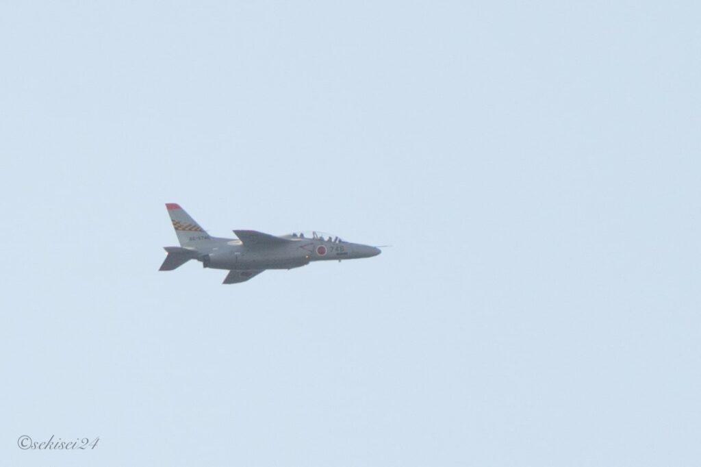 T-4