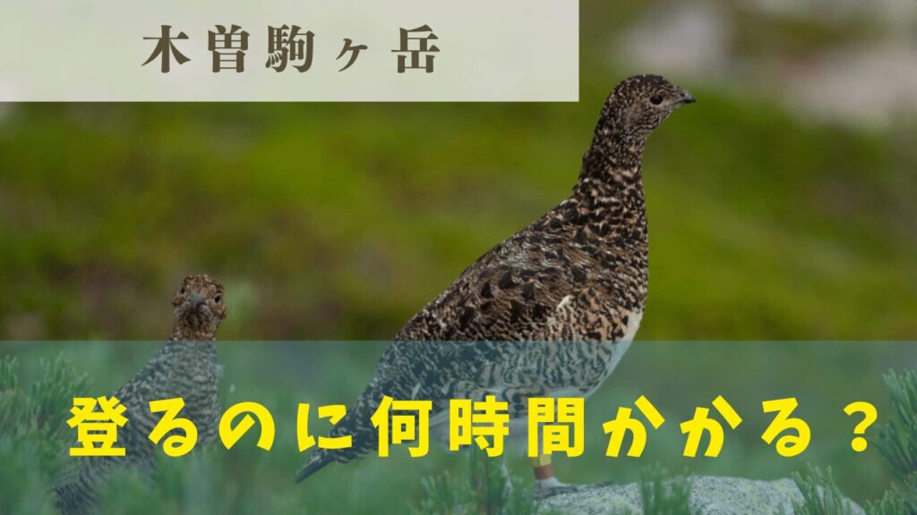 サムネ
