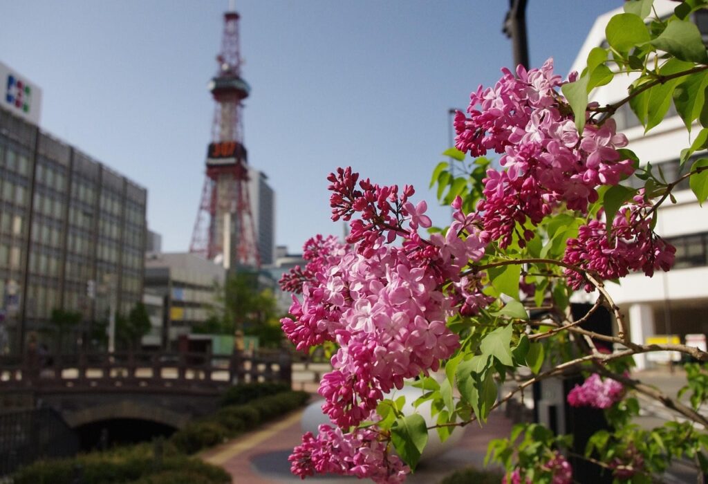 さっぽろテレビ塔