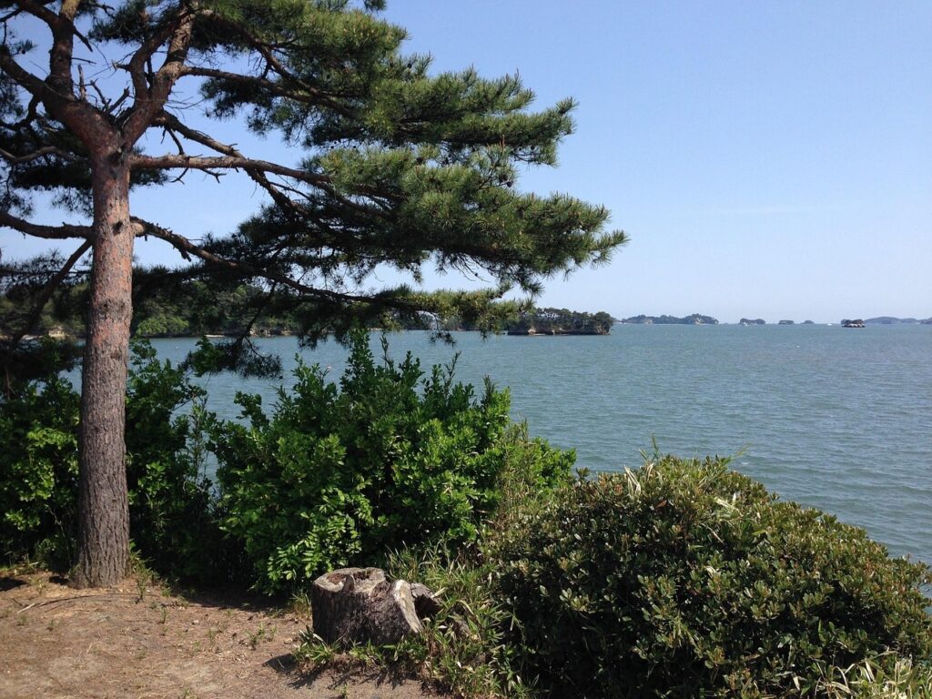 松島