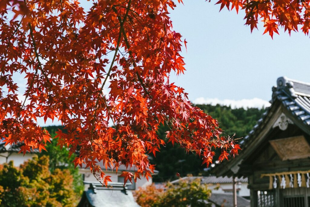 太宰府天満宮