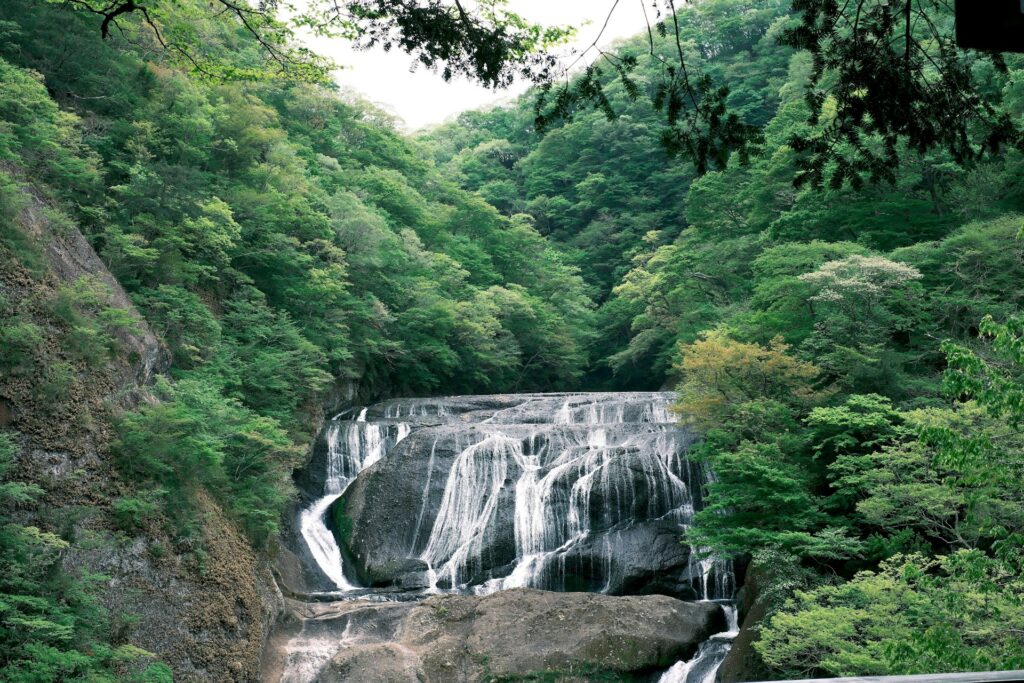 袋田の滝