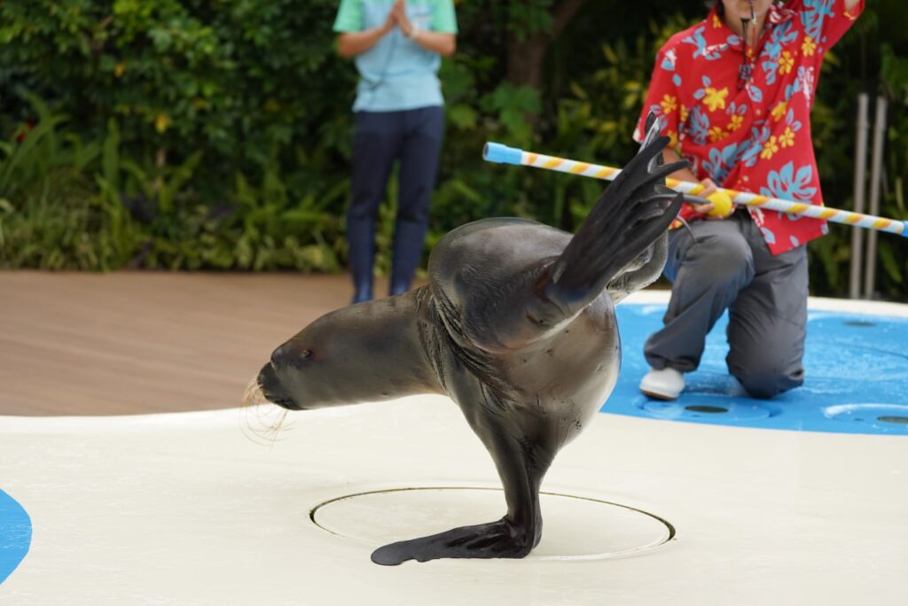 サンシャイン水族館