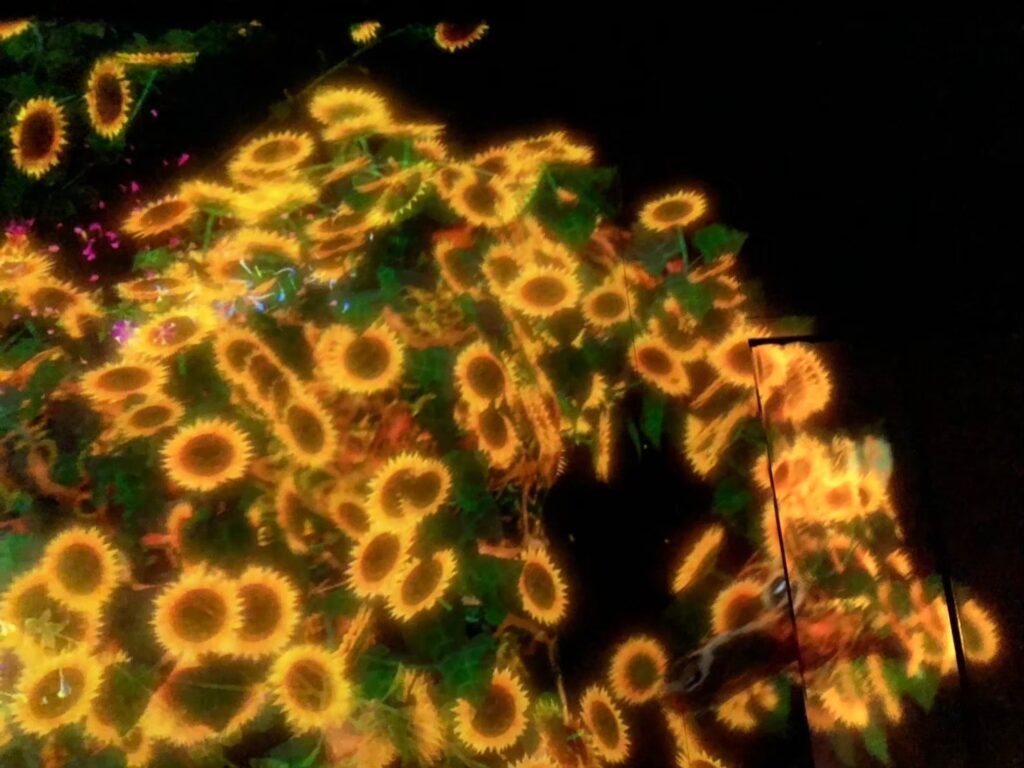 チームラボプラネッツ TOKYO DMM