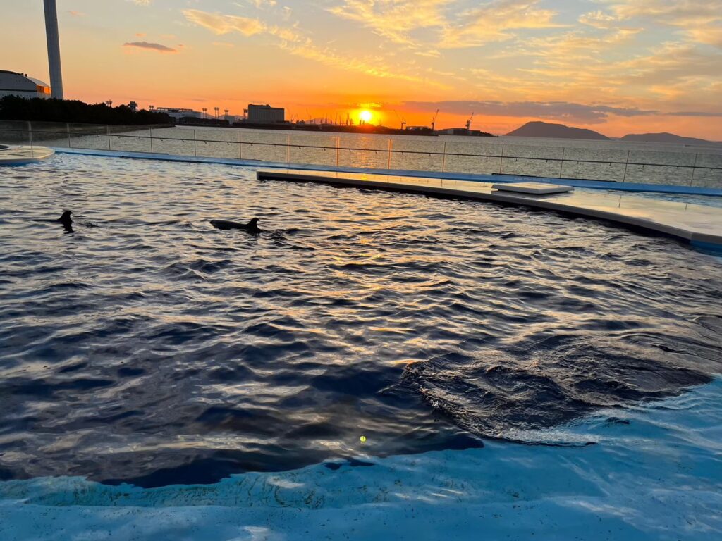 四国水族館