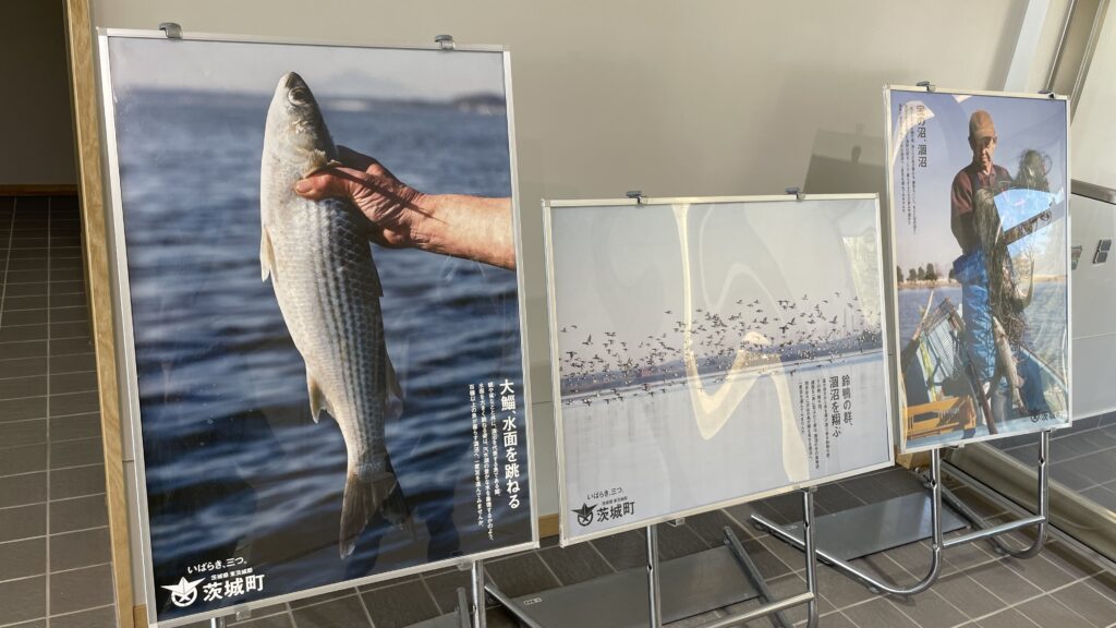 涸沼水鳥・湿地センター