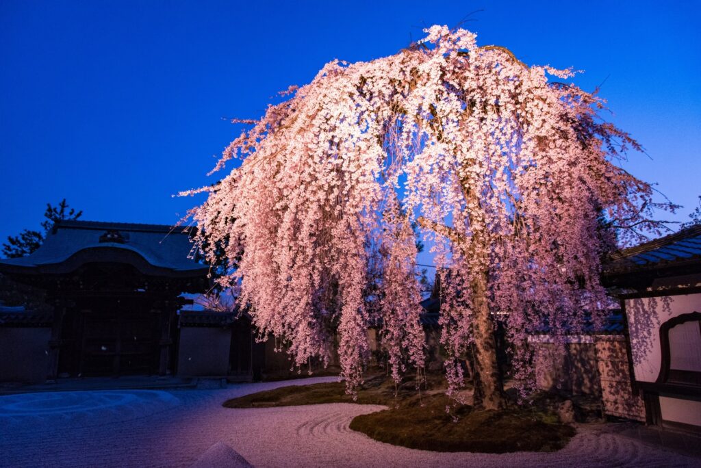 高台寺