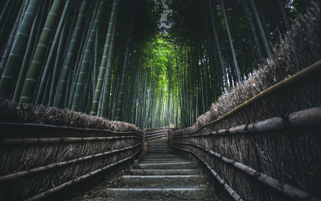 竹林の小径