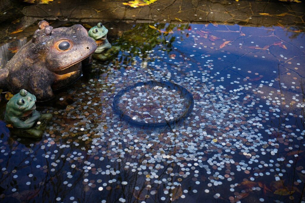 天龍寺