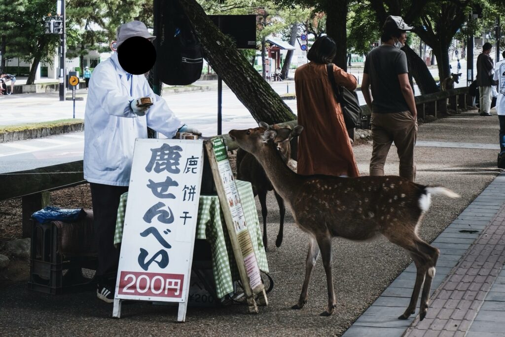 奈良公園