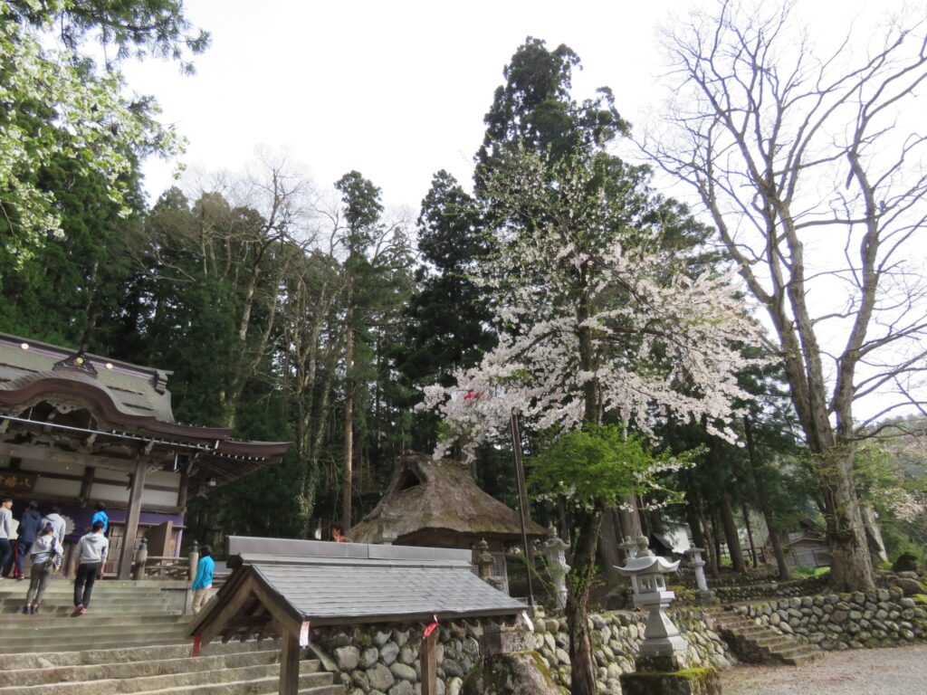 白川郷 白川八幡神社