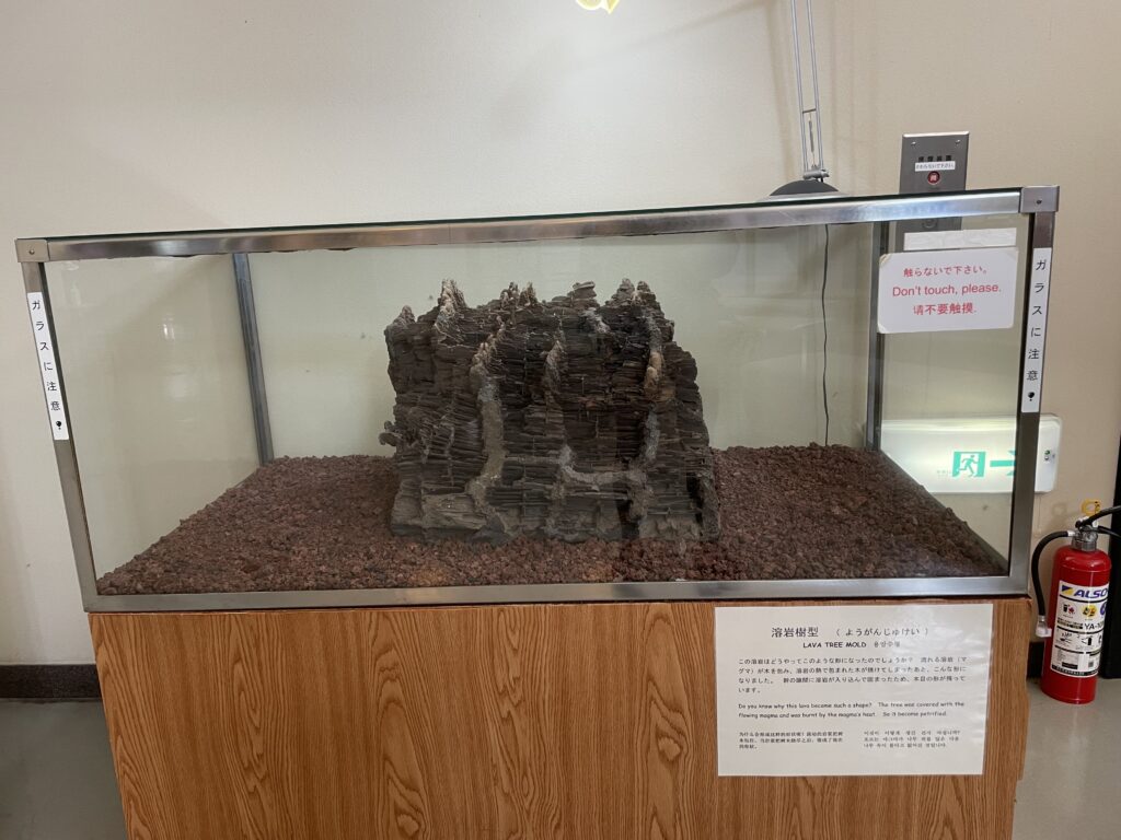 山梨県立富士山世界遺産センター