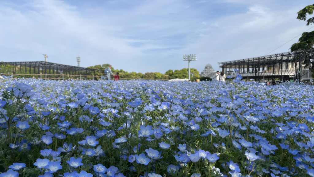 なばなの里