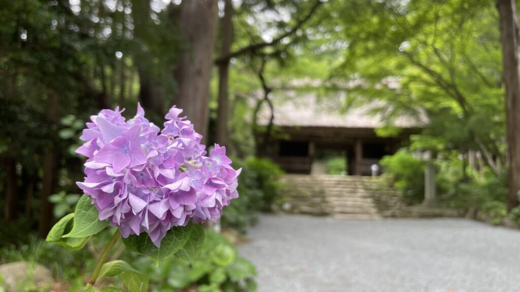 東大寺別院周防阿弥陀寺