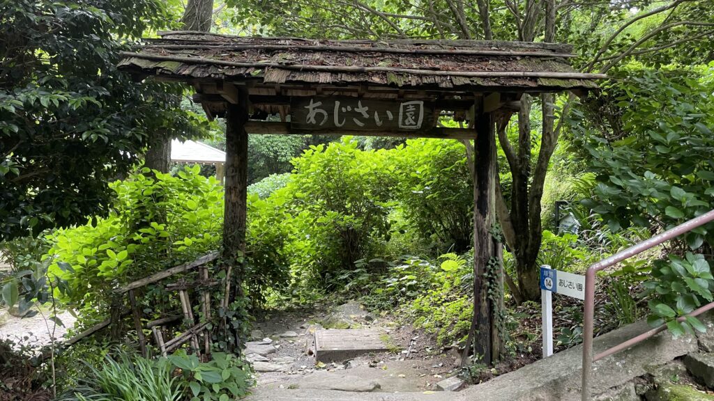 東大寺別院周防阿弥陀寺 あじさい園