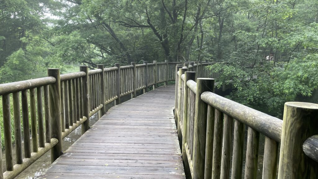 上高地