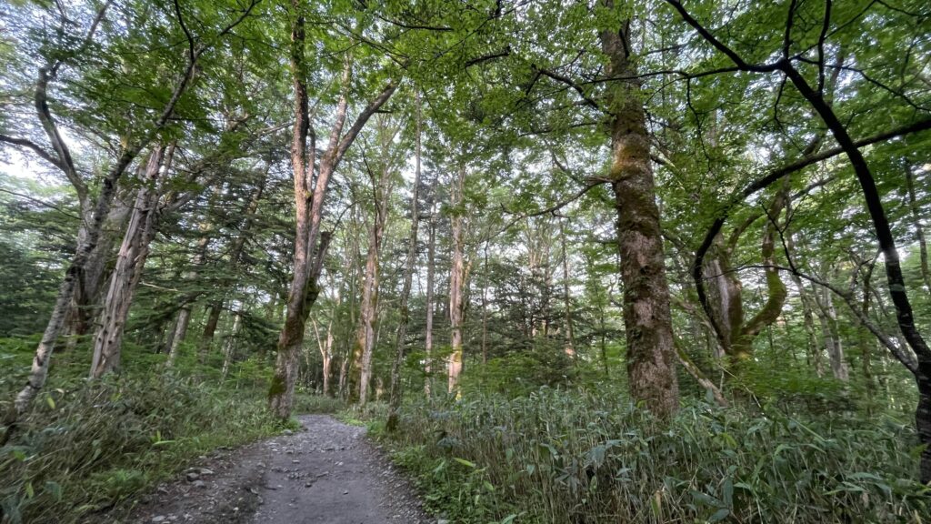 上高地