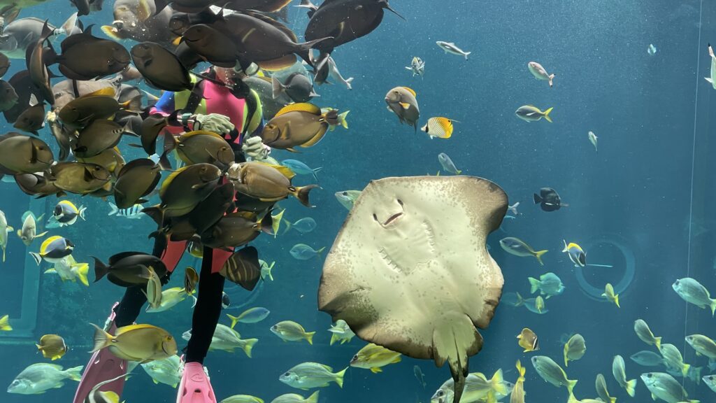 箱根園水族館