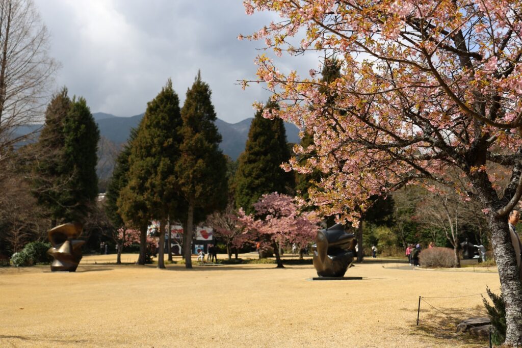 彫刻の森美術館