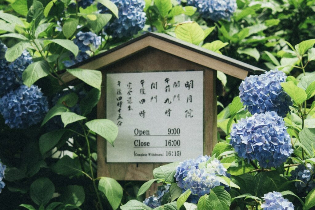 明月院