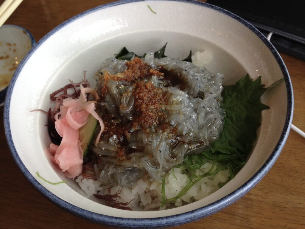 江ノ島 生しらす丼